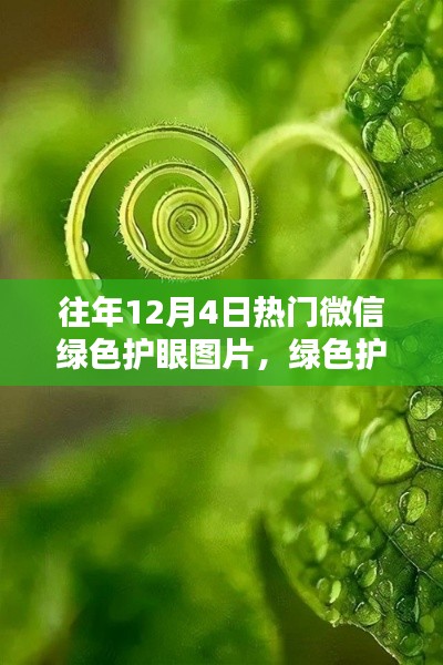 历年十二月四日微信绿色护眼图片回顾，绿色护眼风潮来袭！