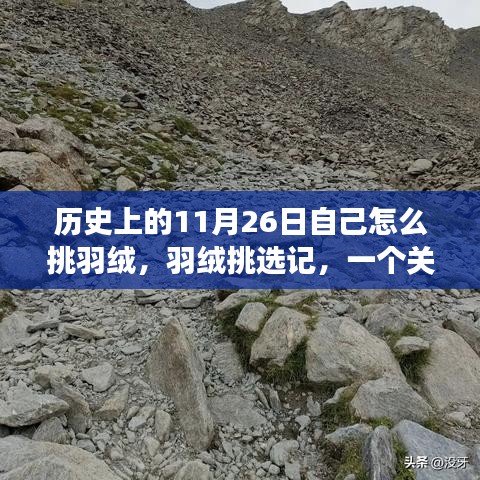 品质保障 第332页