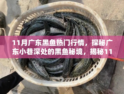 品质保障 第323页