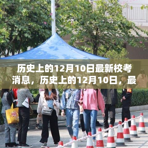 没张倒置 第4页