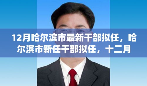 哈尔滨市十二月干部拟任新动态，风云际会下的时代篇章