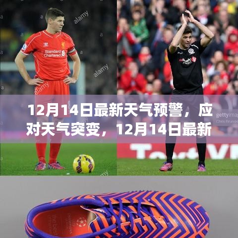 娇小玲珑 第3页