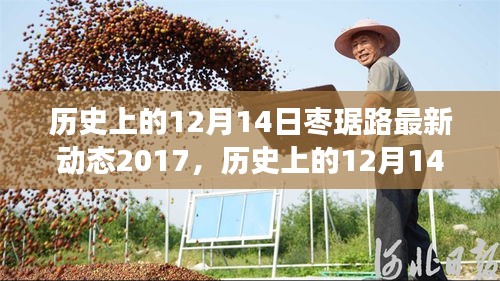历史上的12月14日回顾