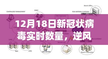 逆风翱翔