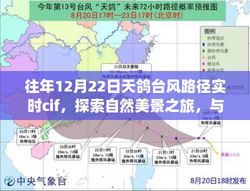 自然共舞