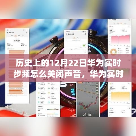 历史回顾