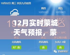 气象分析
