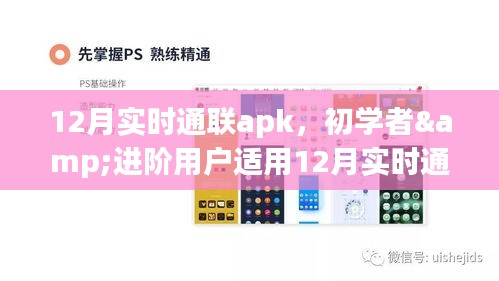 初学者与进阶用户