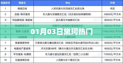 黛珂热门系列新品解析