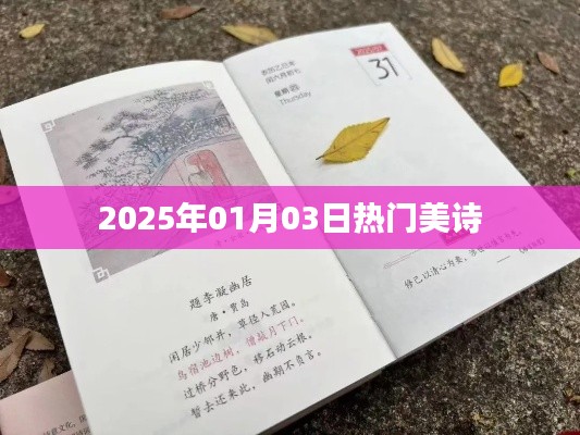 关于我们 第141页