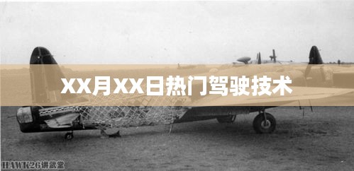 打马虎眼 第3页