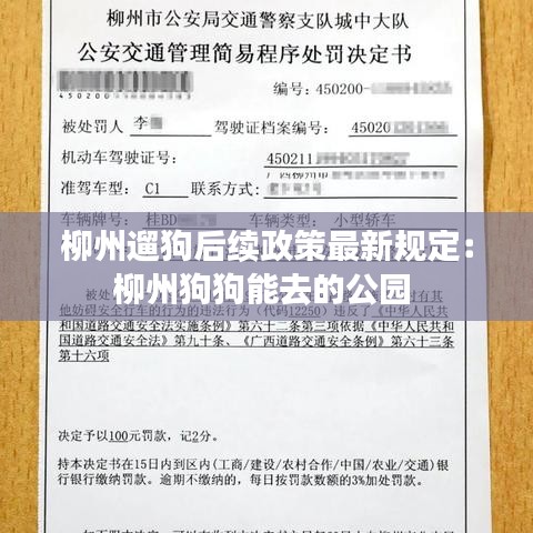 柳州遛狗后续政策最新规定：柳州狗狗能去的公园 