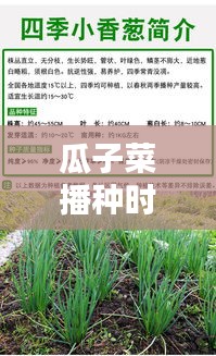 铸造车间 第95页