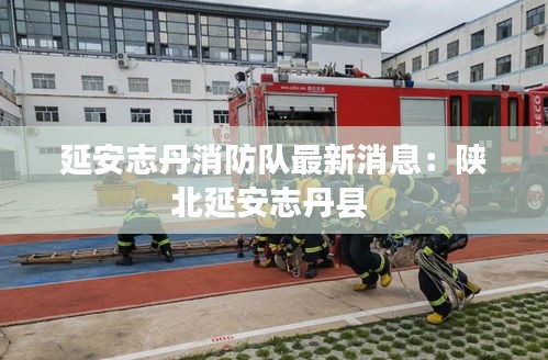 延安志丹消防队最新消息：陕北延安志丹县 