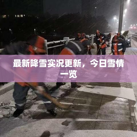 最新降雪实况更新，今日雪情一览