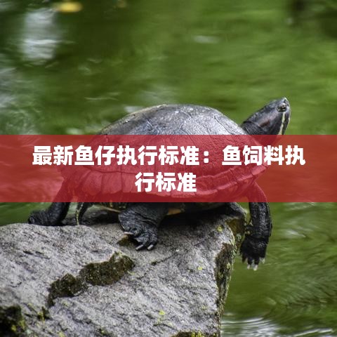 解决方案 第97页