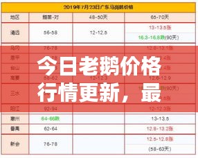 今日老鹅价格行情更新，最新消息一览