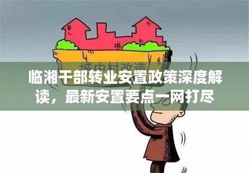 临湘干部转业安置政策深度解读，最新安置要点一网打尽
