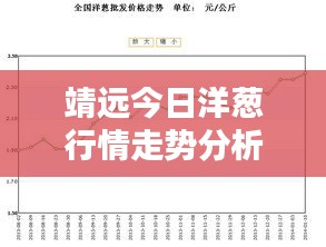 靖远今日洋葱行情走势分析，最新价格解析