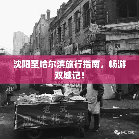 鸟之将死 第2页
