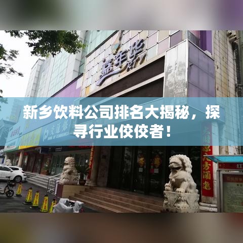 新乡饮料公司排名大揭秘，探寻行业佼佼者！