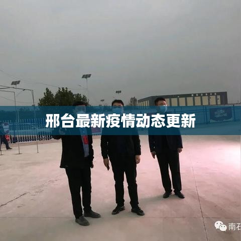邢台最新疫情动态更新