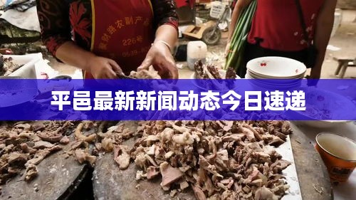 平邑最新新闻动态今日速递