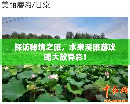 产品中心 第62页