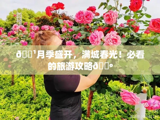 屈指可数 第2页