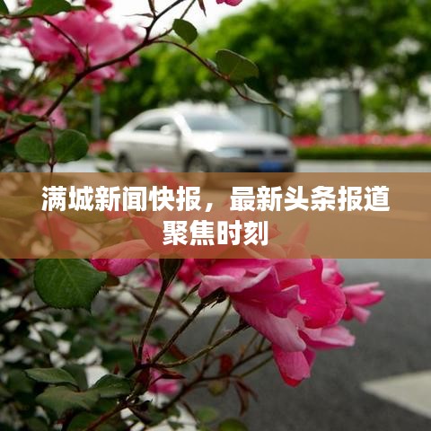 满城新闻快报，最新头条报道聚焦时刻