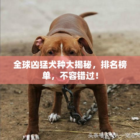 2025年4月 第59页