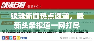 半截鸟木
