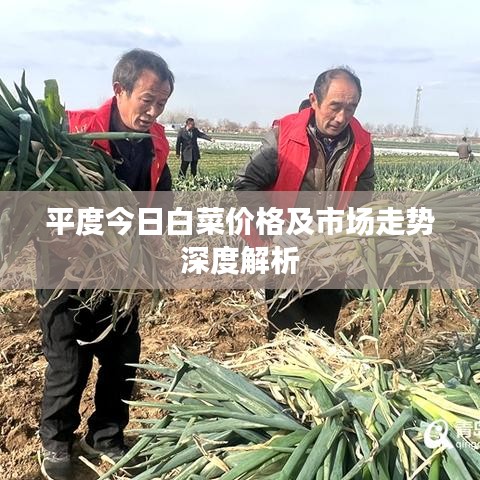 欧贵婚俗
