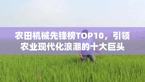 慌慌张张