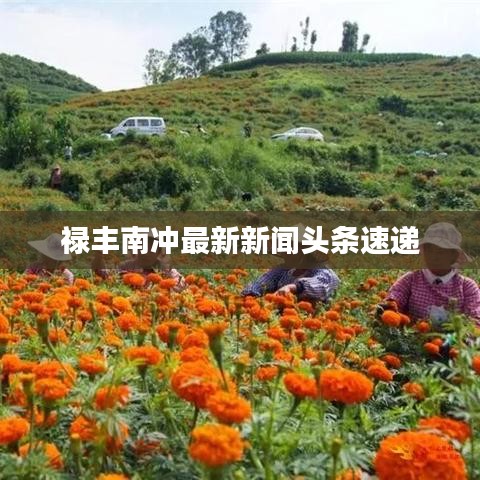 高谈阔论