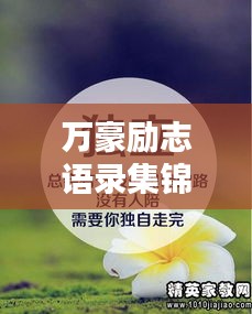 心旷神怡