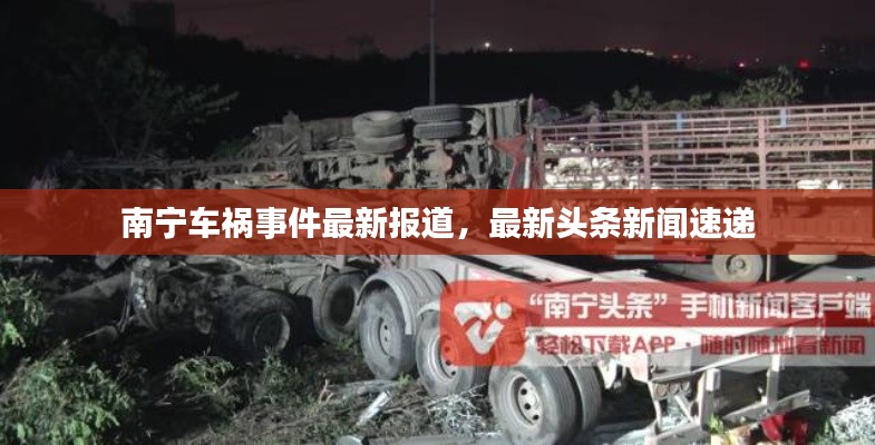 射飞逐走