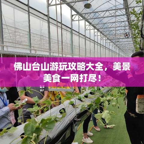 佛山台山游玩攻略大全，美景美食一网打尽！