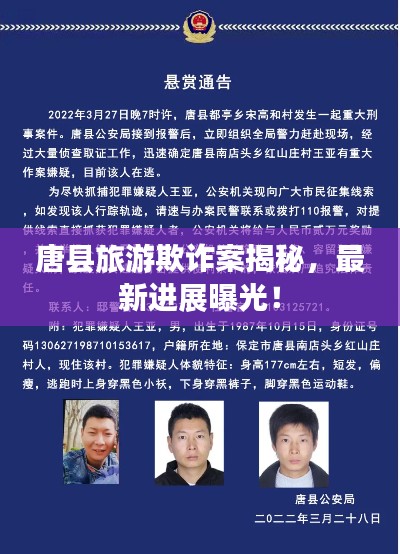 唐县旅游欺诈案揭秘，最新进展曝光！