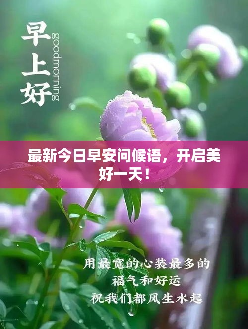 2025年6月 第85页