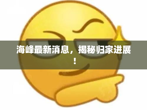 飞来飞去