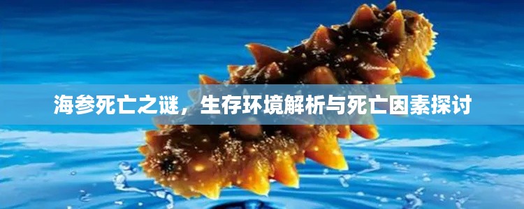 一言九鼎
