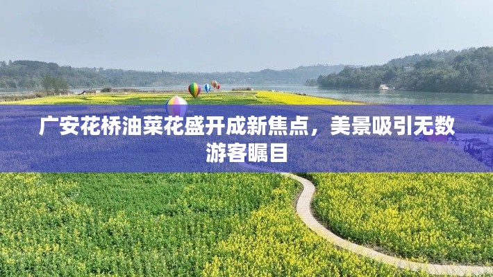 马马虎虎