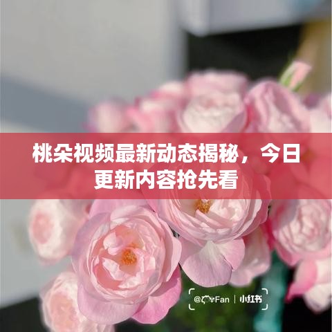 沉厚寡言