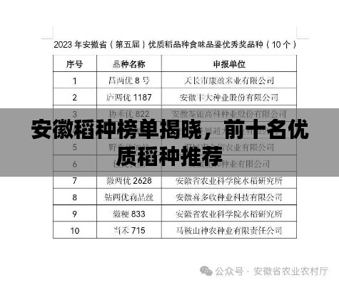 安徽稻种榜单揭晓，前十名优质稻种推荐
