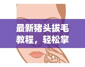 2025年6月17日 第2页