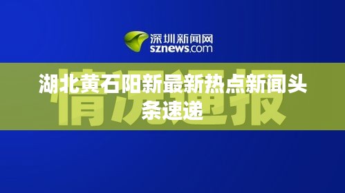 湖北黄石阳新最新热点新闻头条速递