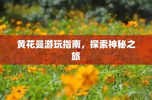 黄花曼游玩指南，探索神秘之旅